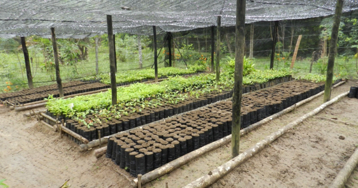 Sustentabilidade e Educação Ambiental